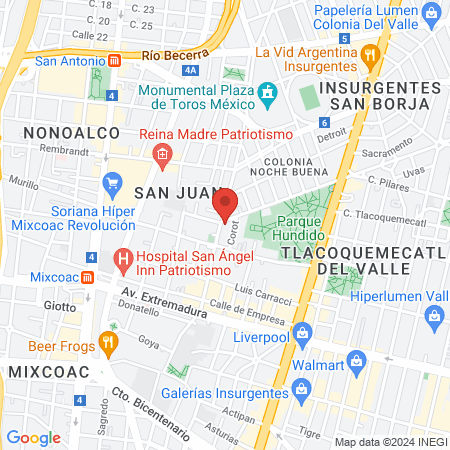 Benitez Salgado Celia map