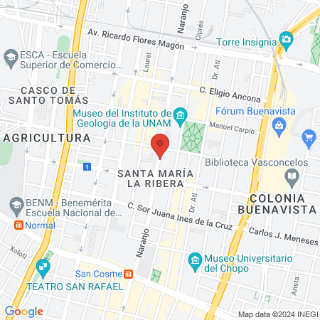 Clínica de Voceadores map