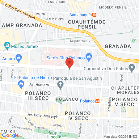 Fisio Polanco Expertos en Rehabilitación Física map