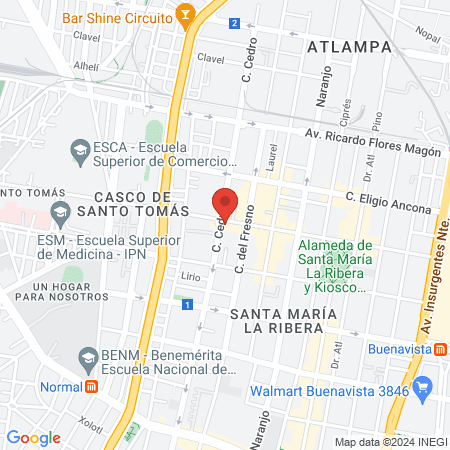 Factor Transferencia Immodimcell map