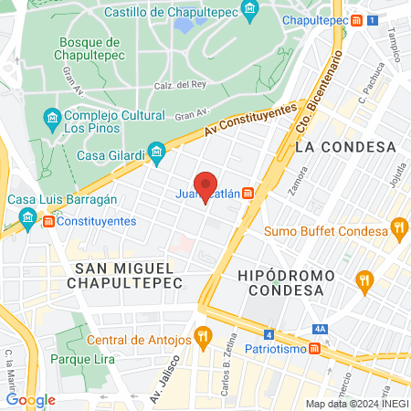 Consultorio Médico Veterinário map