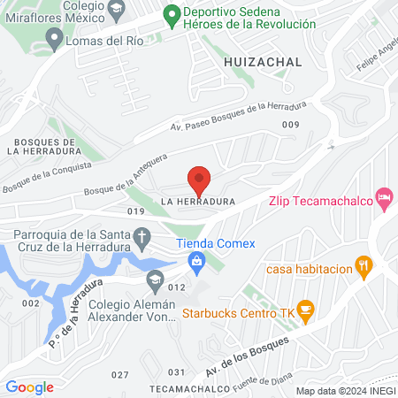 Yamel Magnocentro Interlomas map