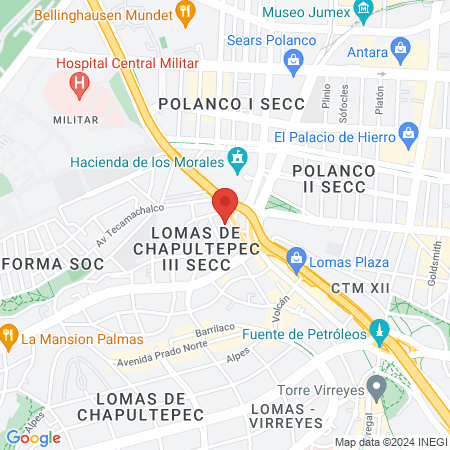 Vetoquinol de México S.A. de C.V. map