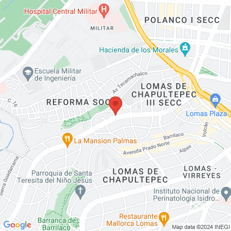 Dra. Gabriela Castrejón Dermatóloga Palmas map