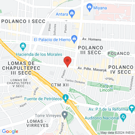 Biomagnetismo Goiz Masaryk map