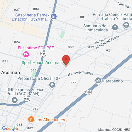 GIMNASIO MARA SPORT ACOLMAN map