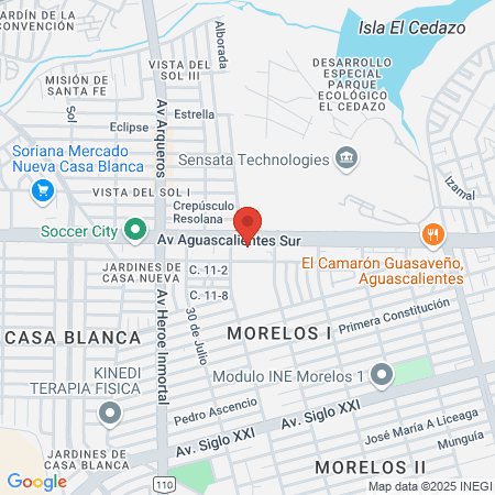 Black Panther Arena map