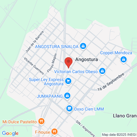 Dra. Flor Angulo map