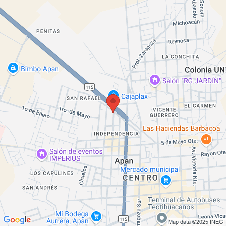 Servicio Podológico Apan map