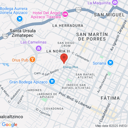 IMSS Clinica 19 map