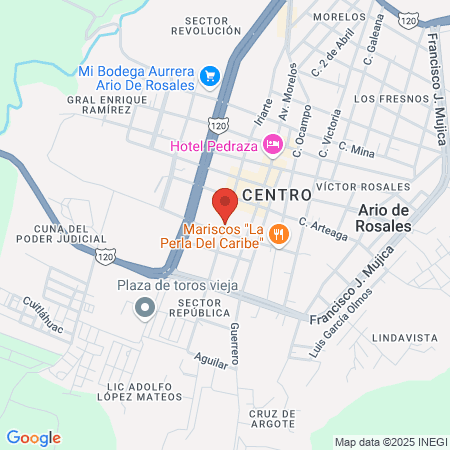 IMSS Clínica 56 map