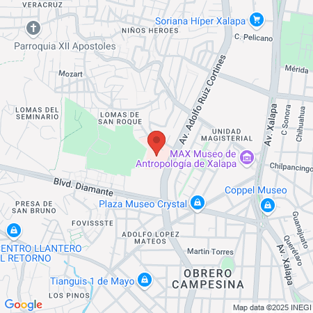 ENLACE CAE IMSS BIENESTAR map