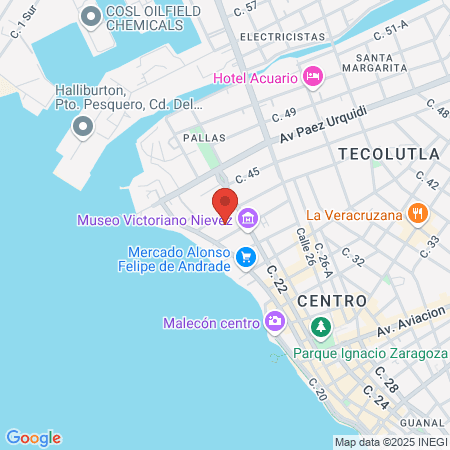 Hospital General de Zona N. 4 IMSS map