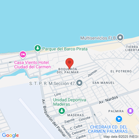 C. Fisioterapia Ciudad Del carmen map