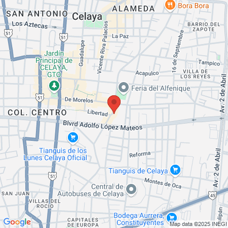 Anytime Fitness Celaya map
