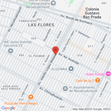 Estetica Frida Kahlo map