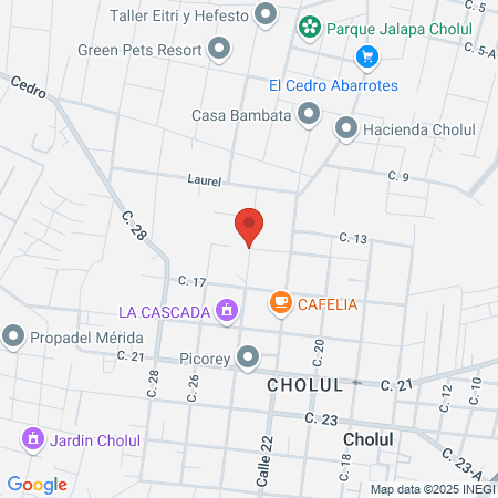 Dr. Carlos Manuel Aguilar Escalante map