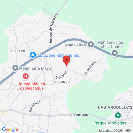 Clínica veterinaria Central canino map