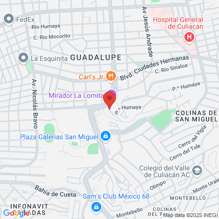 Orthotec Clinica Instituo map