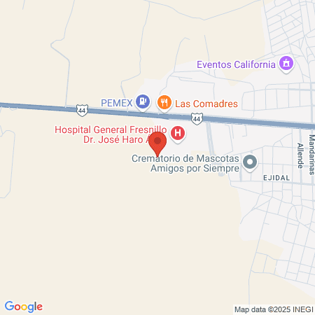 CAPASITS FRESNILLO map