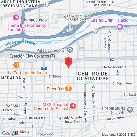 Clínica María Luisa Tecnológico map