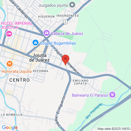 ISSSTE CE-CECIS JOJUTLA DE JUAREZ map
