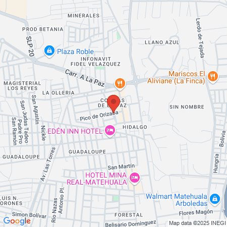 Clinica Dental Monterrey map