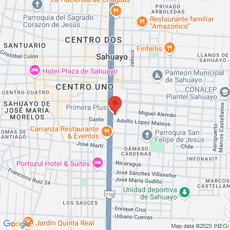 Regenetix Centro de Fertilidad/ Dr Rodolfo Higareda map