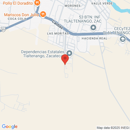 Servicios de Salud Zacatecas map