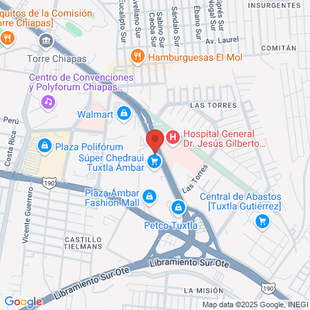 Issste Delegación Chiapas map