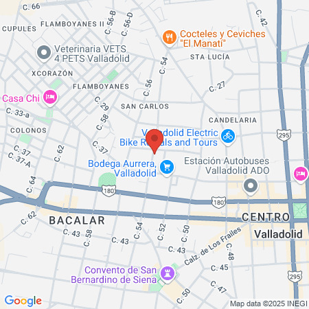 Vida Dental map