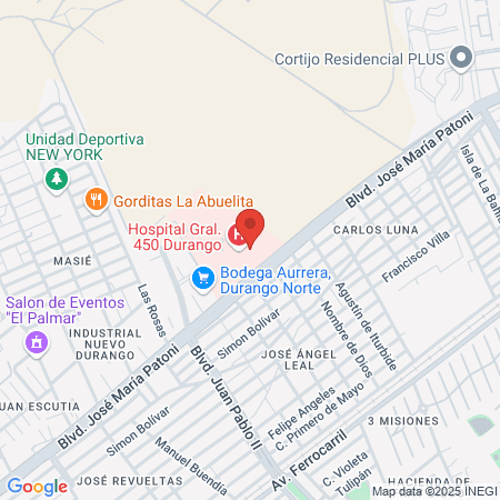 Fraccionamiento Canelas map