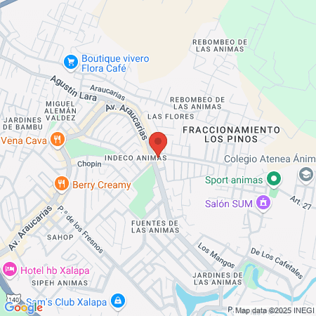 Maximum Mobility Rehabilitación Física map