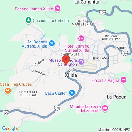 Consultorio médico map