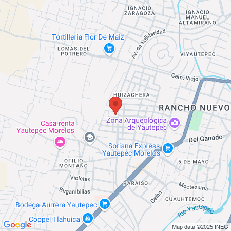 Estética nelly's map