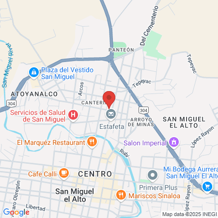 Coconos Style San Miguel el Alto map