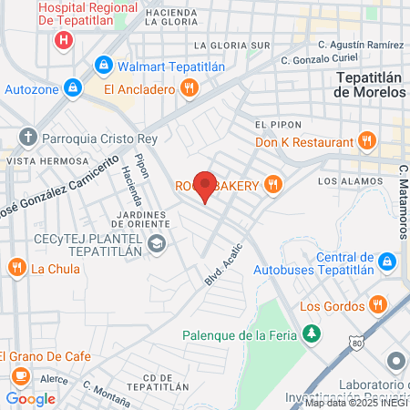 WOLF GYM ¡Be Brave - Be Alpha! map