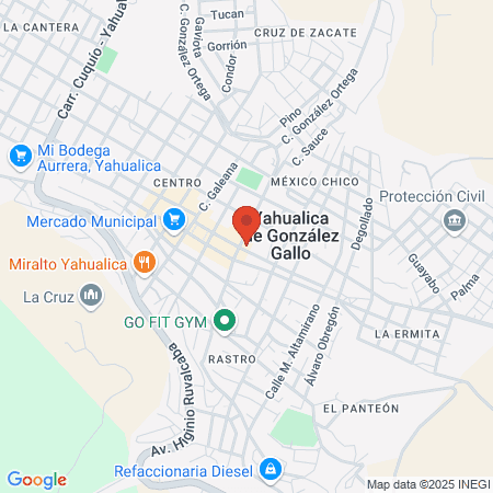 Hospital Regional De Yahualica map