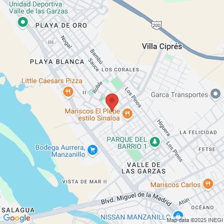 Centro Dental Hidalgo map