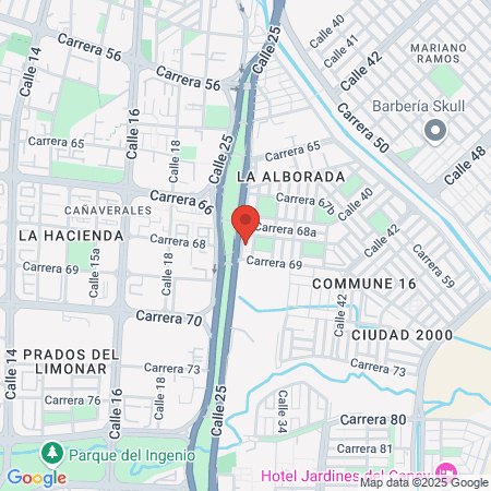 Enriques The Barber map