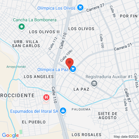 COESP Centro odontológico especializado map