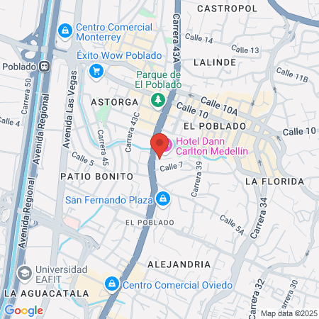 Centro Dental Palatino map