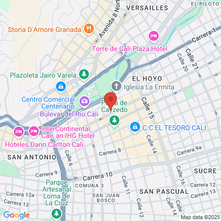 Grupo Oral DR PULECIO map