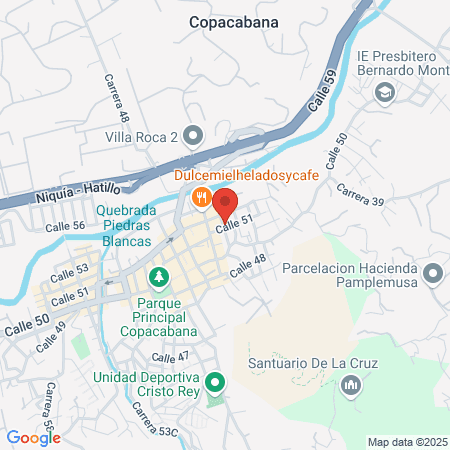 Consultorio Veterinario Fenix map