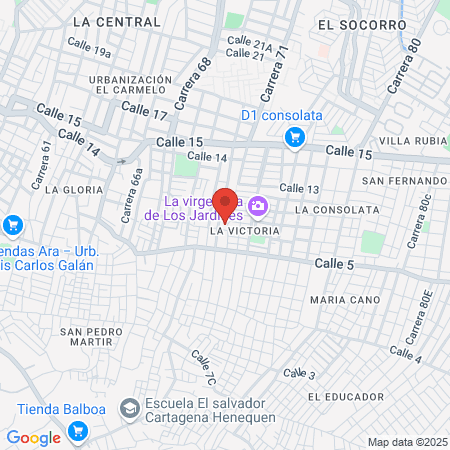 Medas Salud I.P.S. map