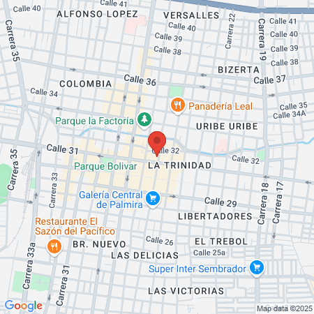 Ips Tian Palmira Valle map