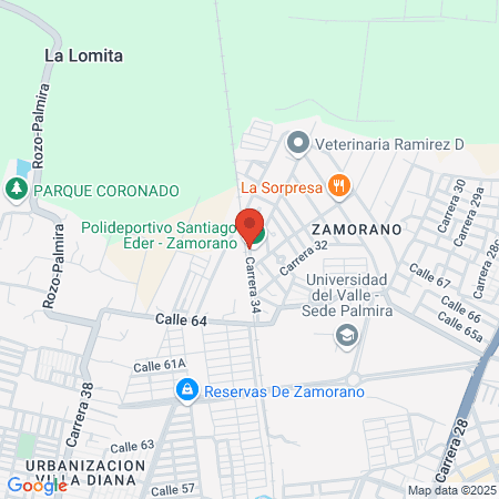 Viemsa Empresarial map