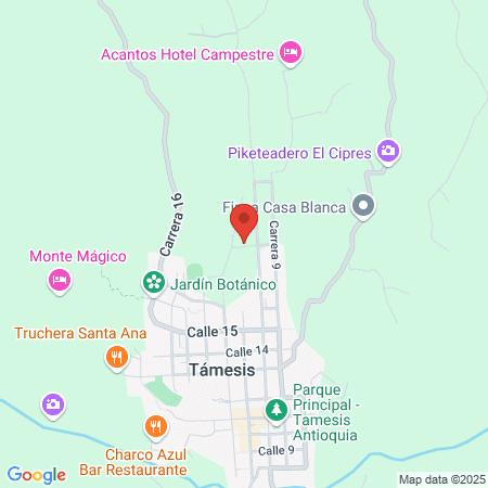 Cancha Sintética Auxiliar 2 map