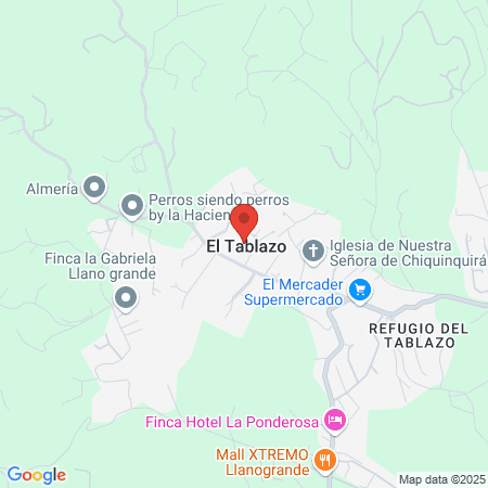 Cancha cuchillas de San José map