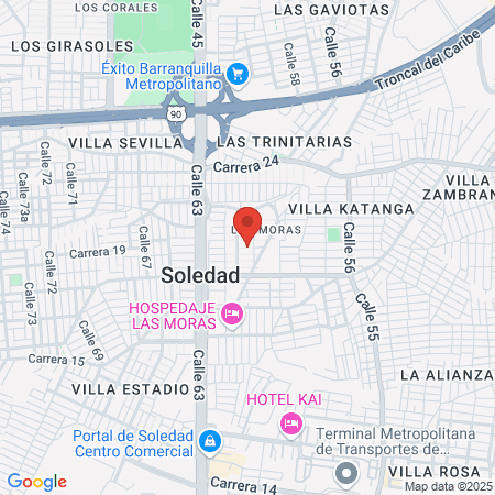 Gimnasio Camelot map